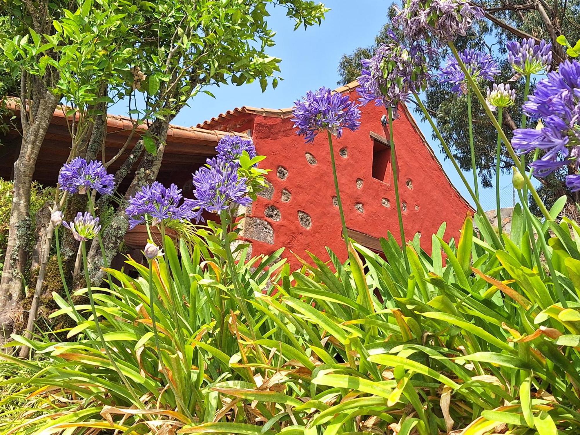 Casa Rural Con Piscina Privada El Roble Moya  Esterno foto