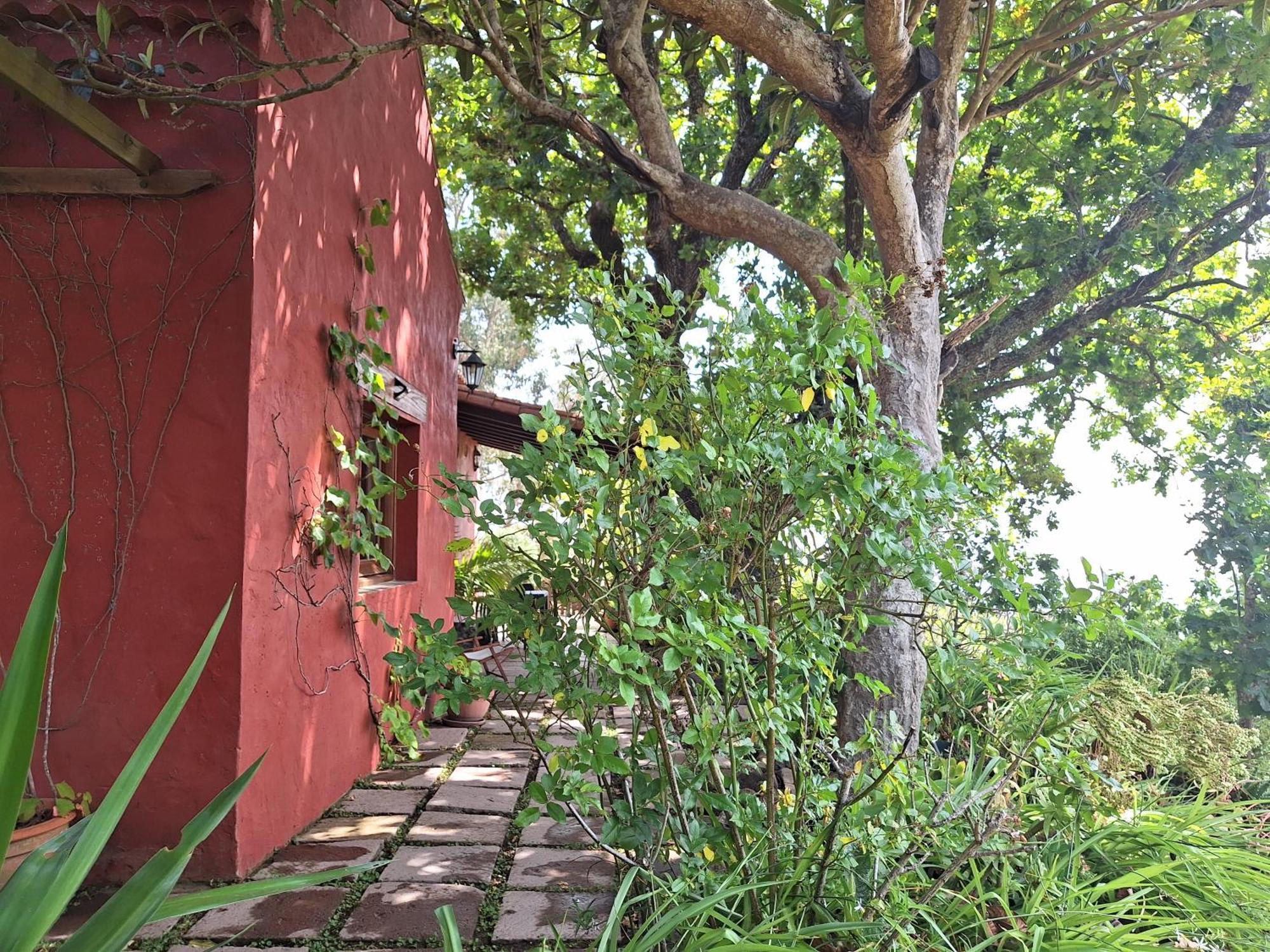 Casa Rural Con Piscina Privada El Roble Moya  Esterno foto