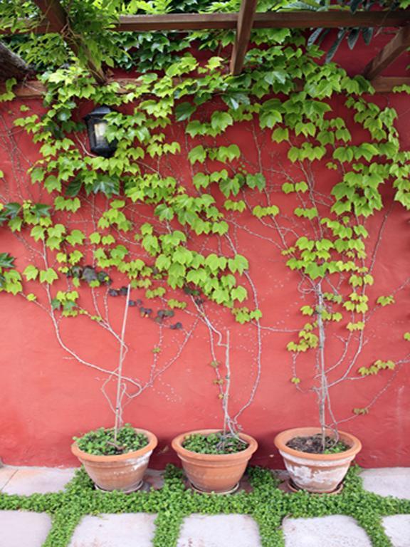 Casa Rural Con Piscina Privada El Roble Moya  Esterno foto