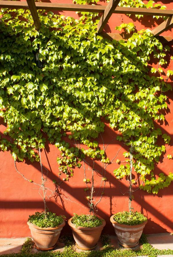 Casa Rural Con Piscina Privada El Roble Moya  Esterno foto